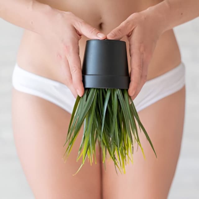 Brazilian Wax Membership Package 